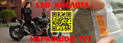 бошки Тверь