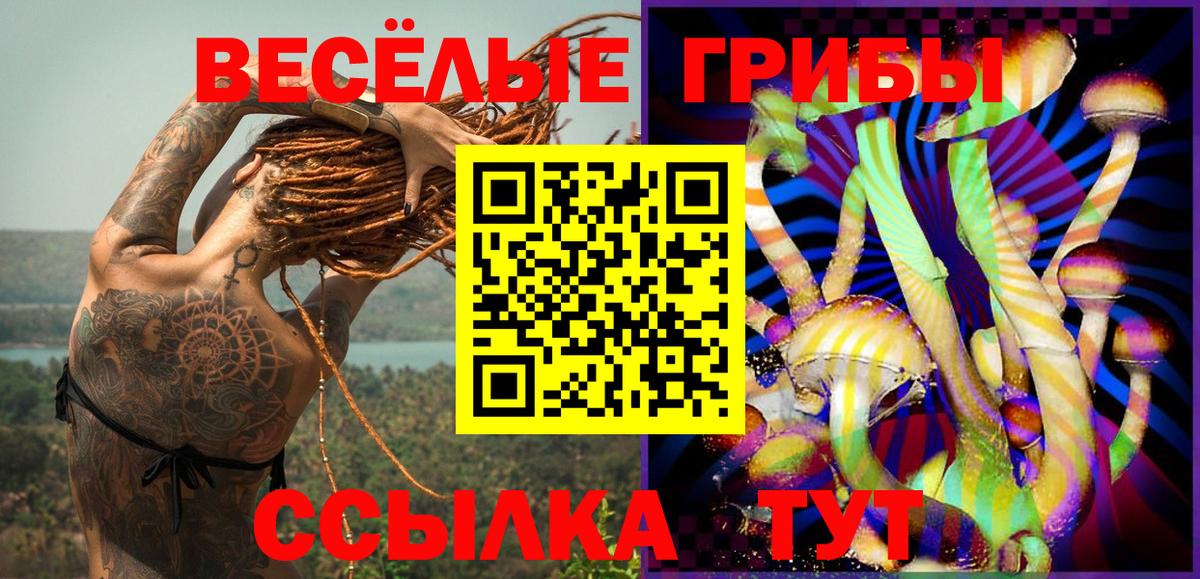 Псилоцибиновые грибы Cubensis  Псилоцибиновые грибы прущие грибы  Вход с VPN  Отрадный 