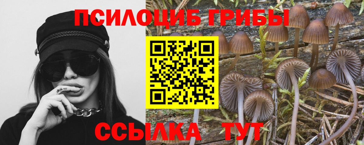 Псилоцибиновые грибы MAGIC MUSHROOMS Отрадный