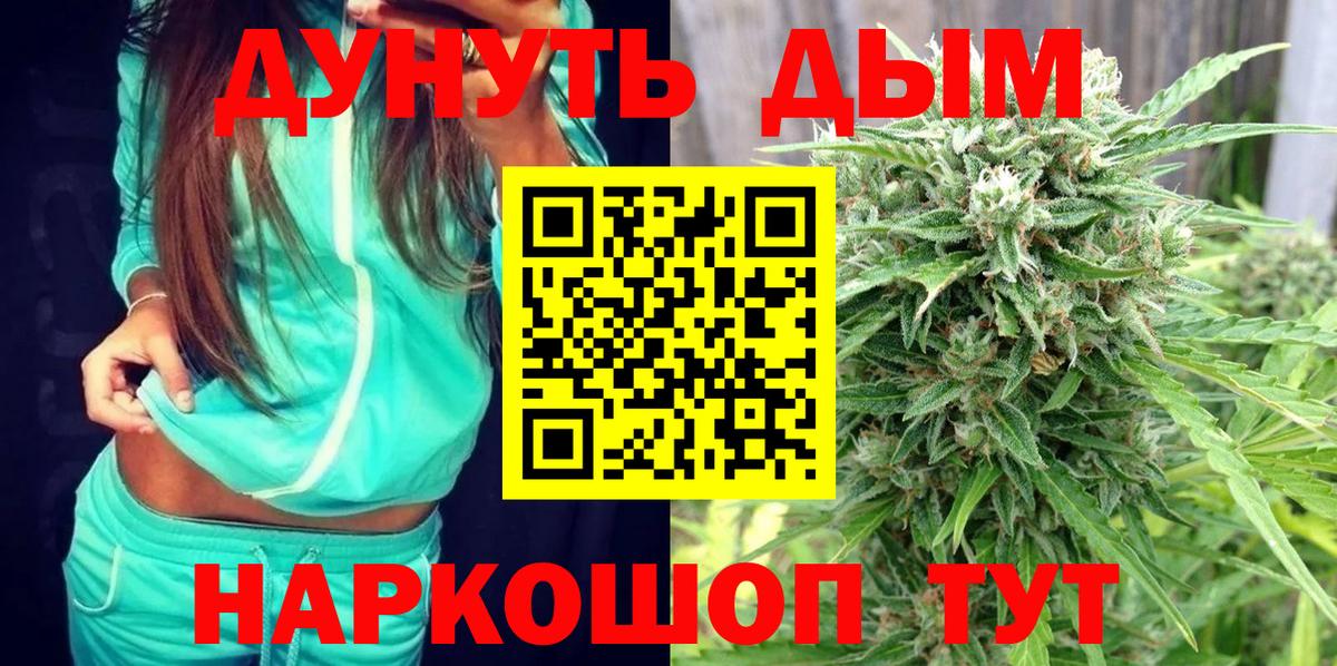 Конопля OG Kush Отрадный